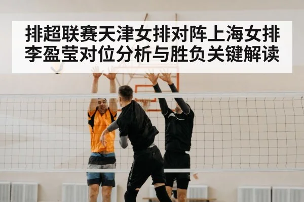 volleyball block net